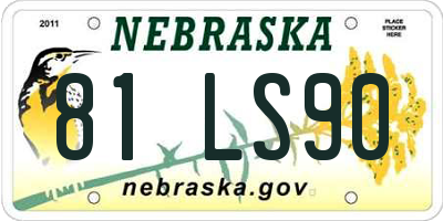 NE license plate 81LS90