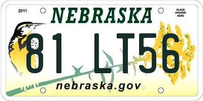 NE license plate 81LT56