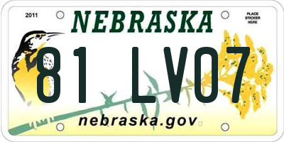 NE license plate 81LV07