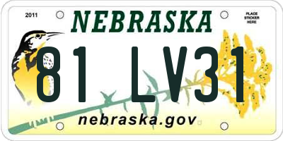 NE license plate 81LV31
