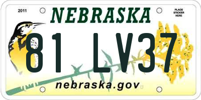 NE license plate 81LV37