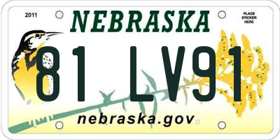 NE license plate 81LV91