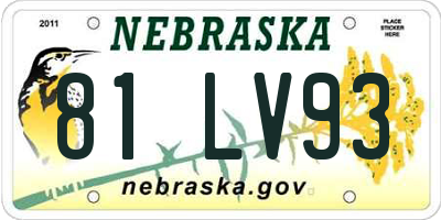 NE license plate 81LV93