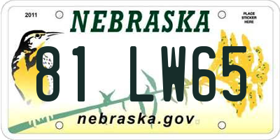 NE license plate 81LW65