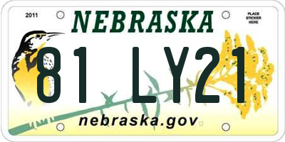 NE license plate 81LY21