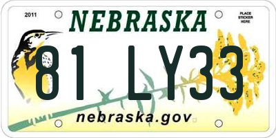 NE license plate 81LY33
