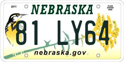 NE license plate 81LY64