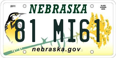 NE license plate 81MI61