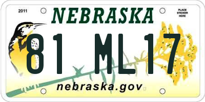NE license plate 81ML17