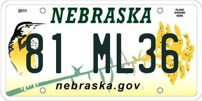 NE license plate 81ML36