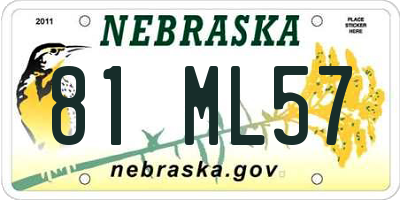 NE license plate 81ML57