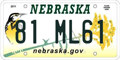NE license plate 81ML61