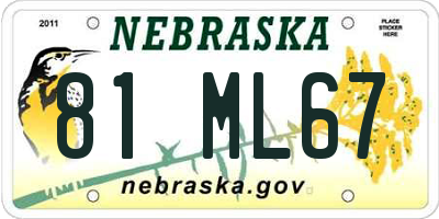 NE license plate 81ML67