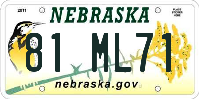 NE license plate 81ML71