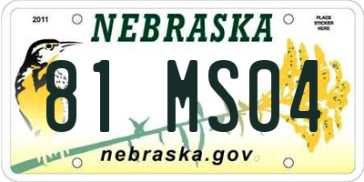 NE license plate 81MS04