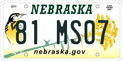 NE license plate 81MS07