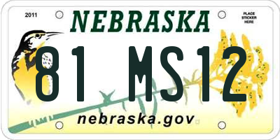 NE license plate 81MS12