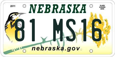 NE license plate 81MS16
