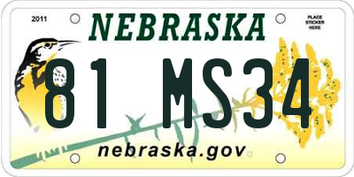 NE license plate 81MS34