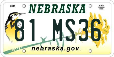 NE license plate 81MS36