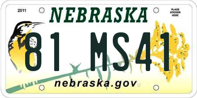 NE license plate 81MS41