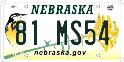NE license plate 81MS54