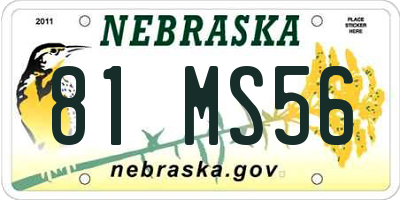 NE license plate 81MS56