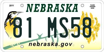 NE license plate 81MS58