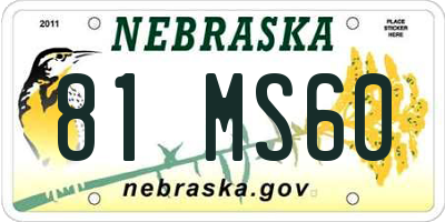 NE license plate 81MS60