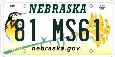 NE license plate 81MS61