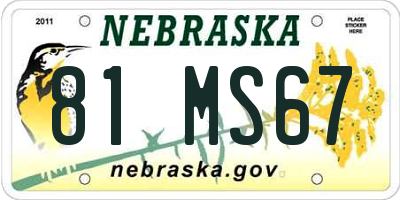 NE license plate 81MS67
