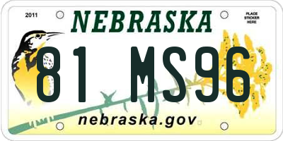 NE license plate 81MS96