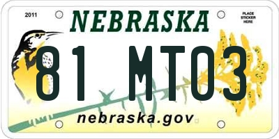 NE license plate 81MT03