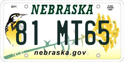 NE license plate 81MT65