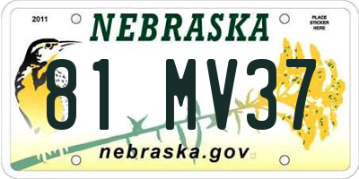 NE license plate 81MV37