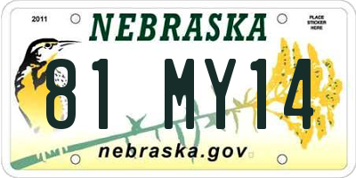 NE license plate 81MY14