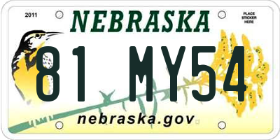NE license plate 81MY54