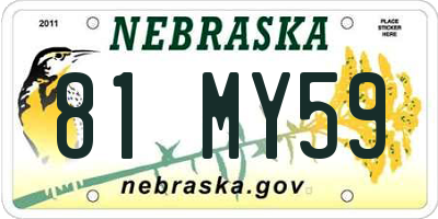 NE license plate 81MY59