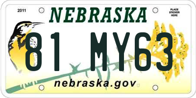 NE license plate 81MY63