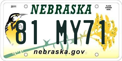 NE license plate 81MY71