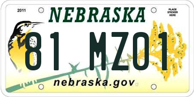 NE license plate 81MZ01