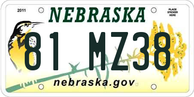 NE license plate 81MZ38