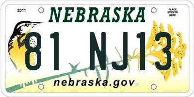 NE license plate 81NJ13