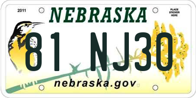 NE license plate 81NJ30