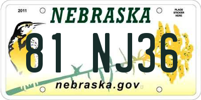 NE license plate 81NJ36