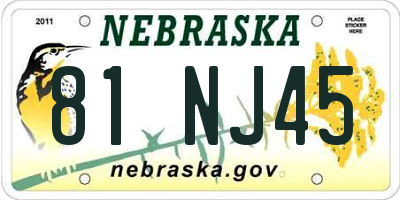 NE license plate 81NJ45