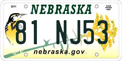 NE license plate 81NJ53