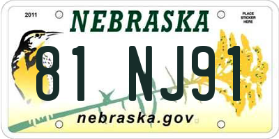 NE license plate 81NJ91