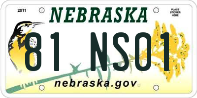 NE license plate 81NS01