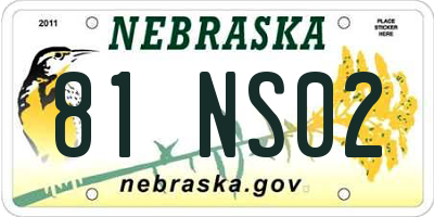 NE license plate 81NS02